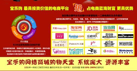 宝乐购网络技术服务 企业数字化升级的可靠伙伴